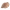 shell_1-prxfq85ypq4ac51fm1hz69hmyqtdb3tuai2un8rw8w